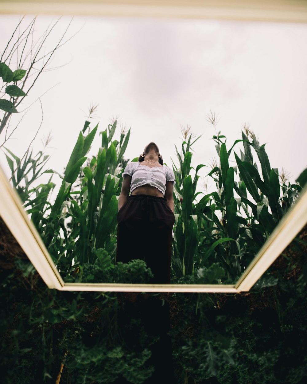 woman at a corn field