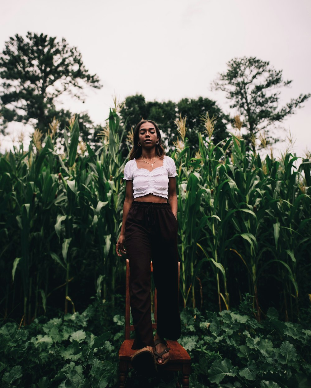 woman standing on the chair near corn field