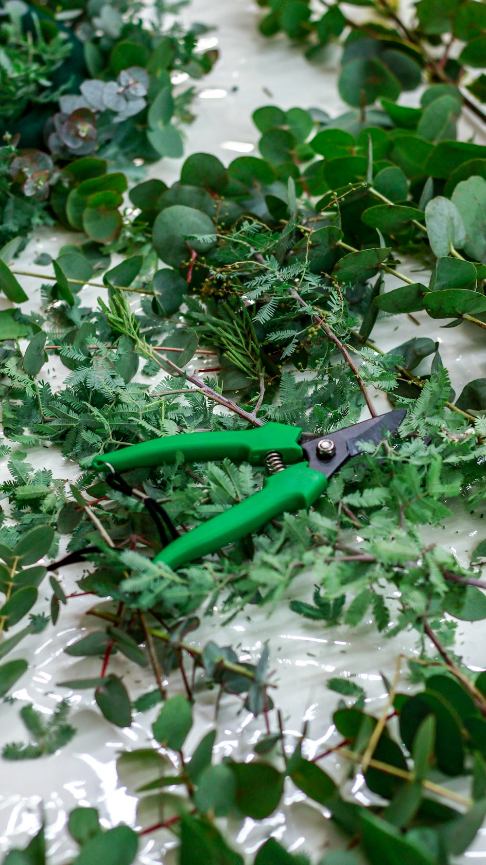 green cutter on green leaves