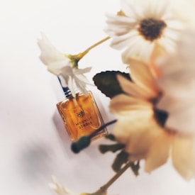 A perfume bottle labeled 'Moonlit Stroll' is lying on a light surface, partly surrounded by soft-focus white flowers. The bottle is predominantly golden in color, evoking a sense of elegance and warmth.