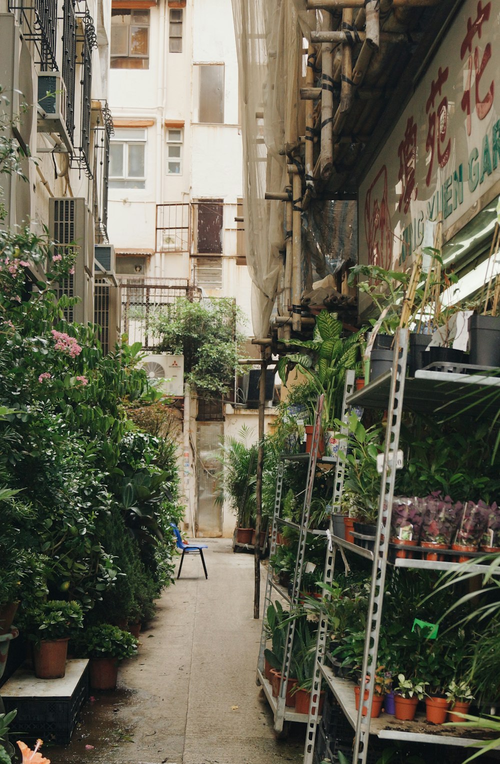 緑の葉の植物