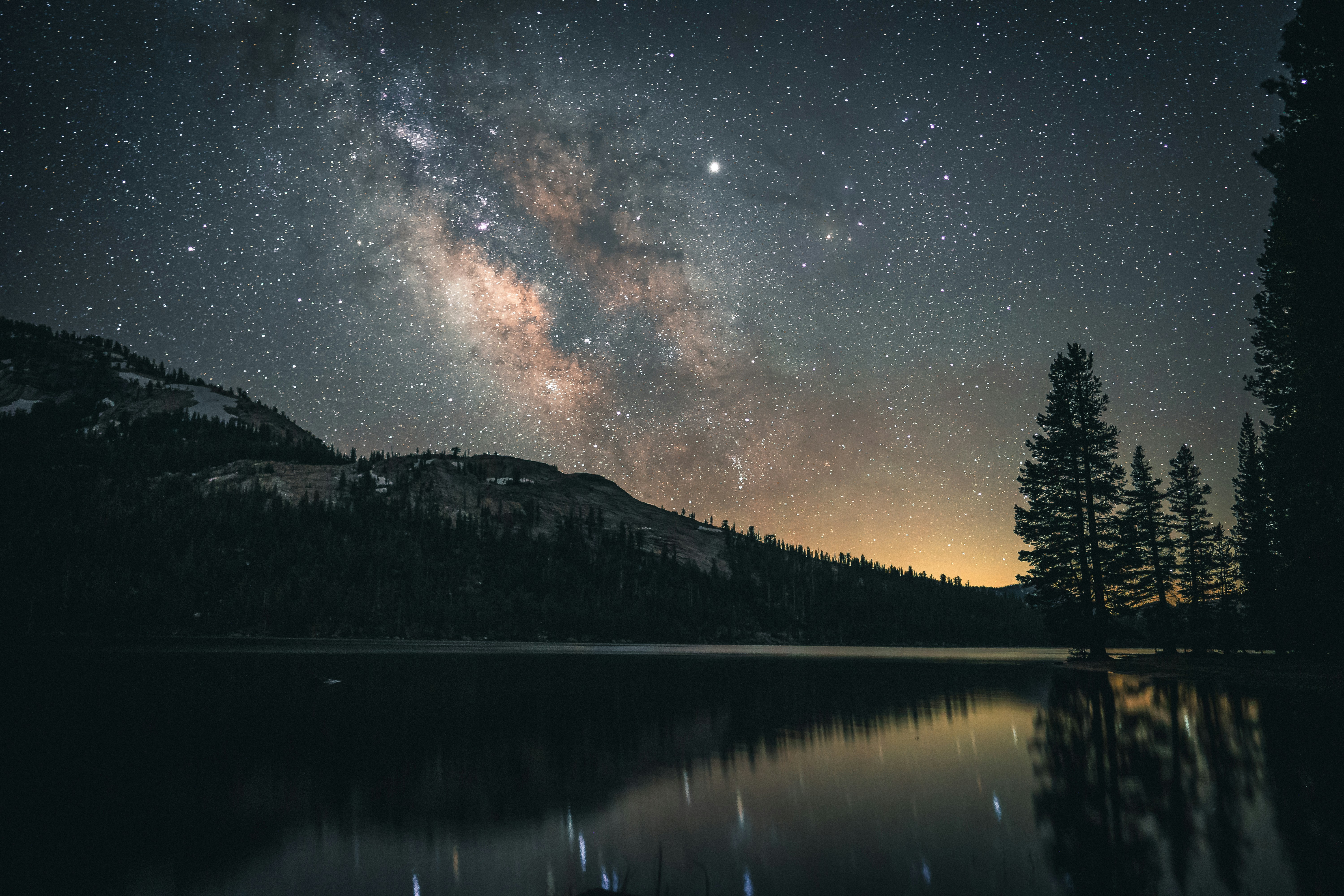 body of water near trees