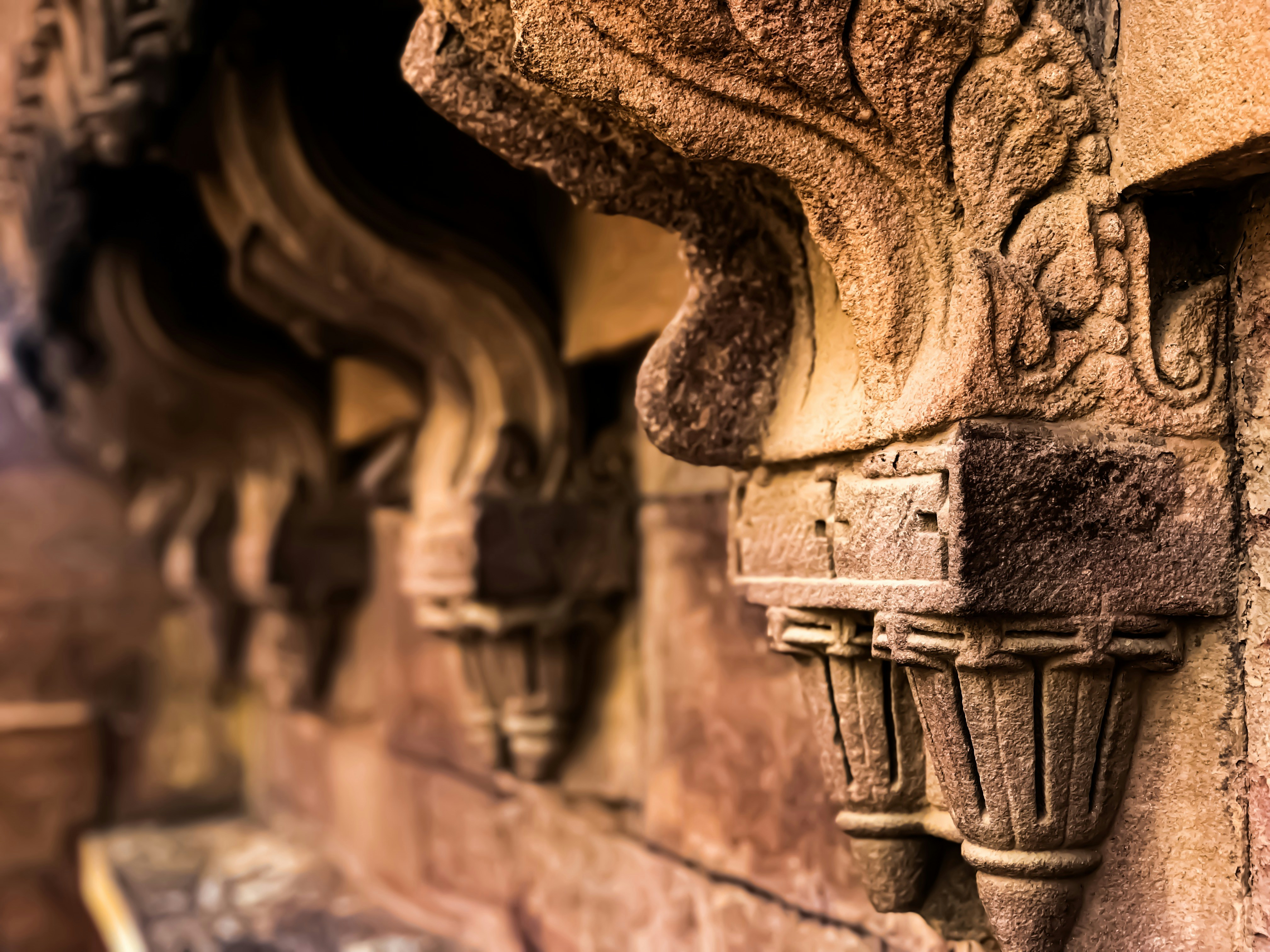 Photo by ashish_2931