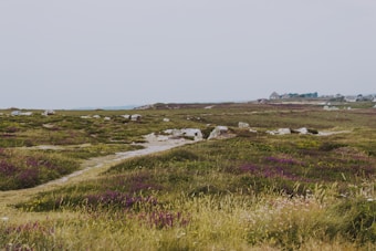 A vast, open coastal moorland with a narrow dirt path winding through the landscape. The terrain is covered with low grasses and purple heather, scattered with rocks. In the distance, small buildings and cottages are visible, indicating a rural setting. The sky is overcast, contributing to a muted and calm ambiance.