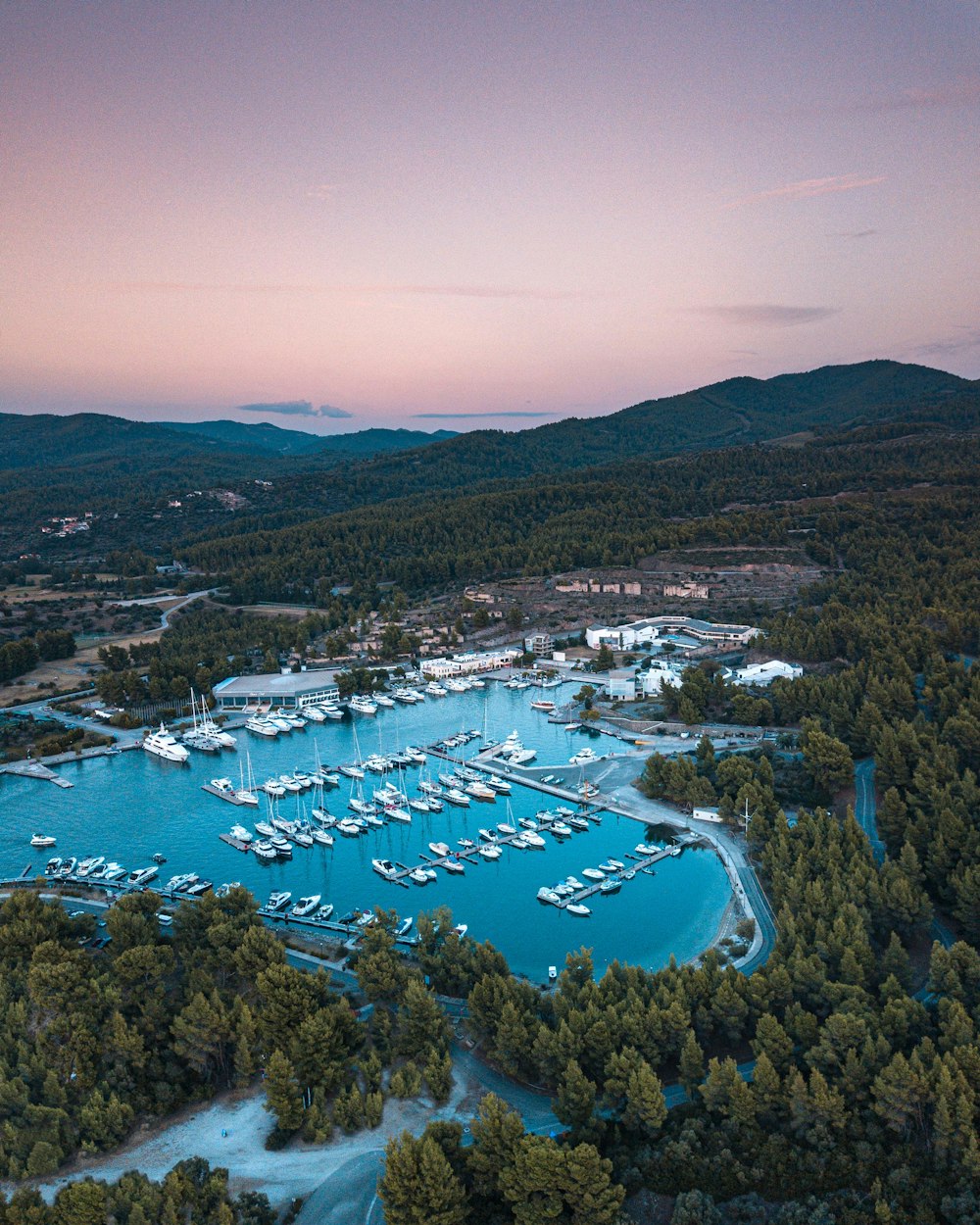 Fotografia aerea di yacht e pini durante il giorno