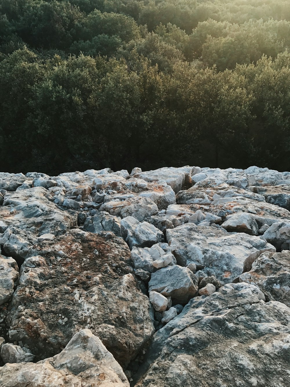 rocas grises y marrones