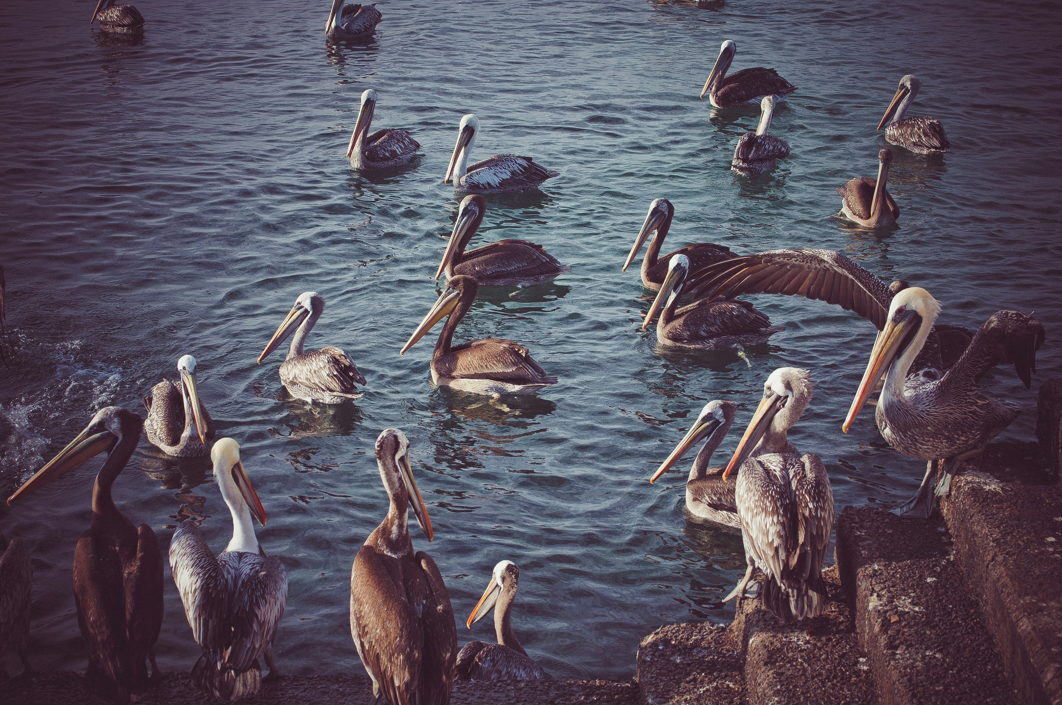 Photo by juanmanunez