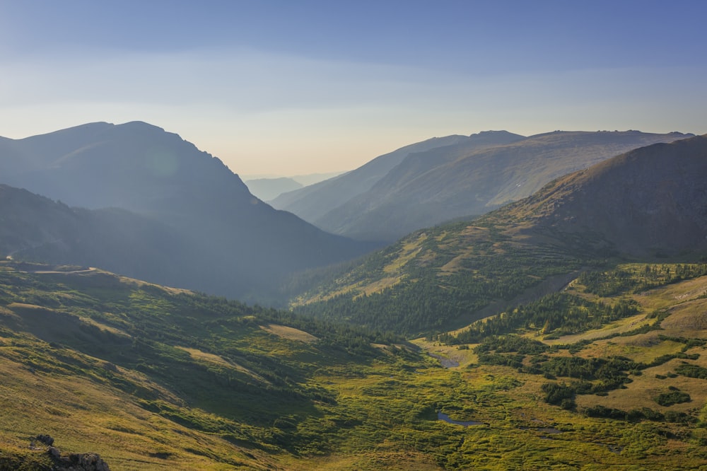 Berge mit grünbelaubten Bäumen bedeckt