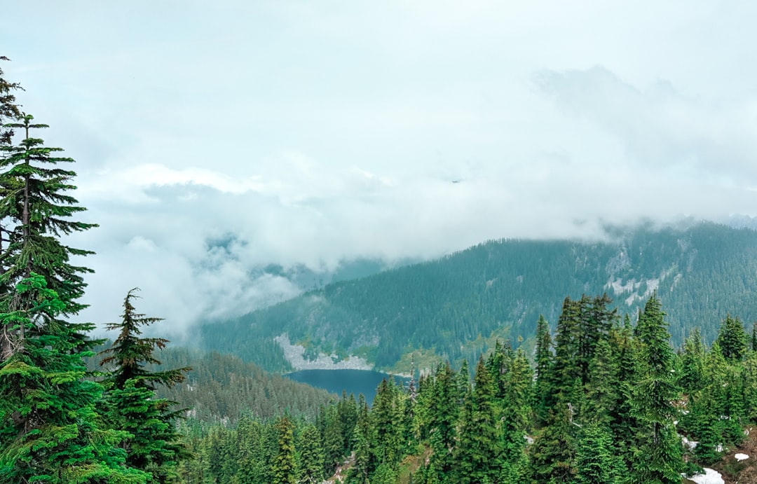 Tropical and subtropical coniferous forests photo spot Granite Mountain Trail #1016 Mount Rainier