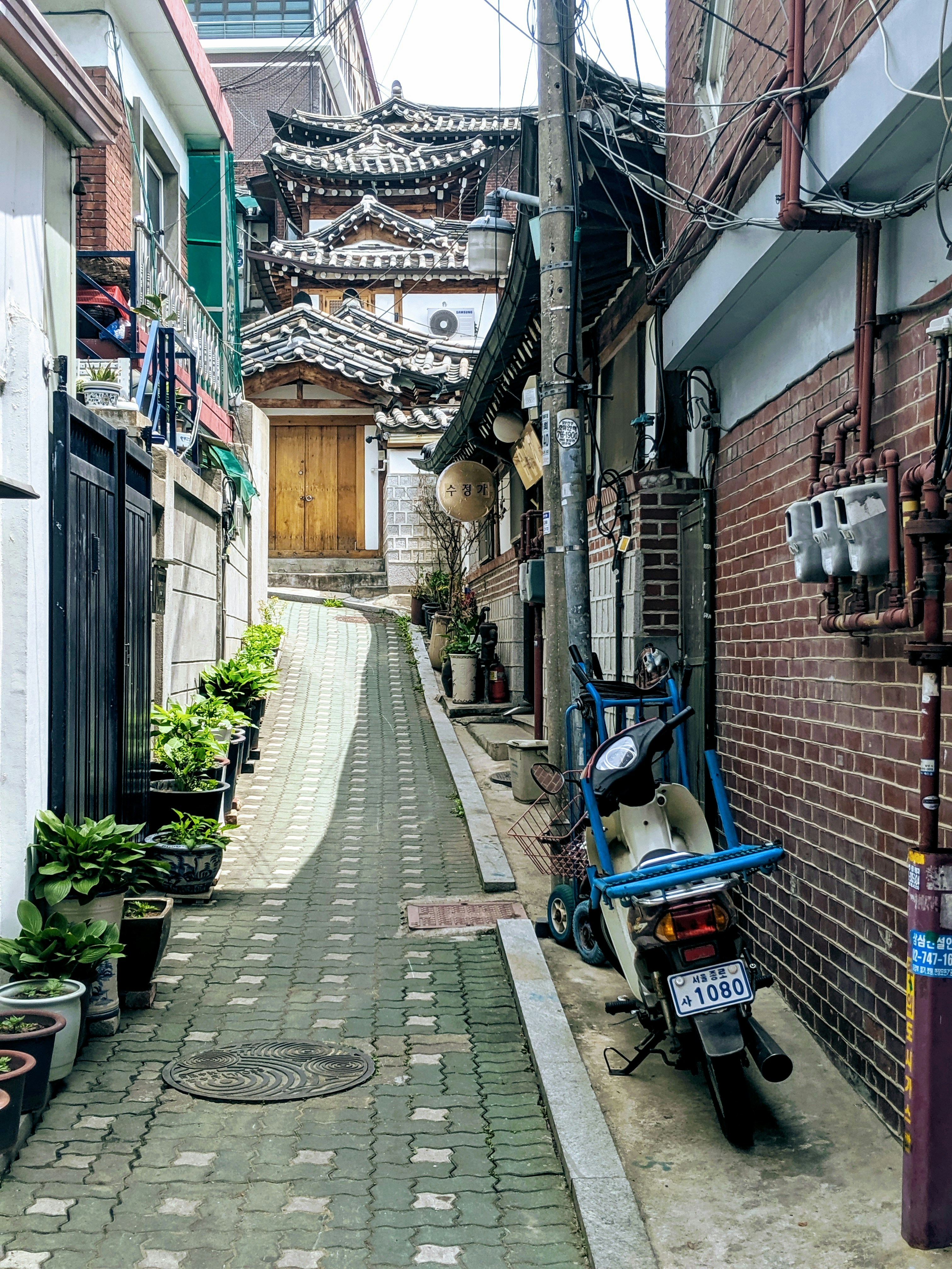 Where to Eat Like a Local