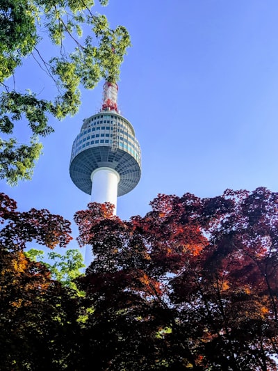 N Seoul Tower - From Park, South Korea