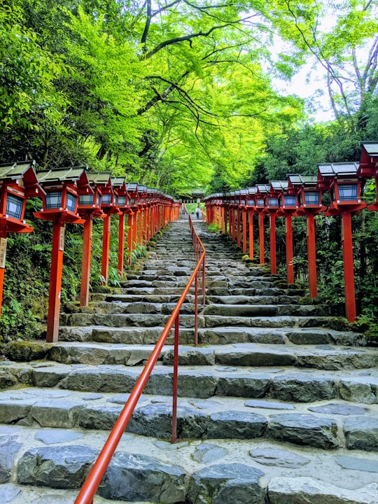 low-angle photography of concrete stair surrounded by green leafed trees in Kifune-Jinja Shrine Japan