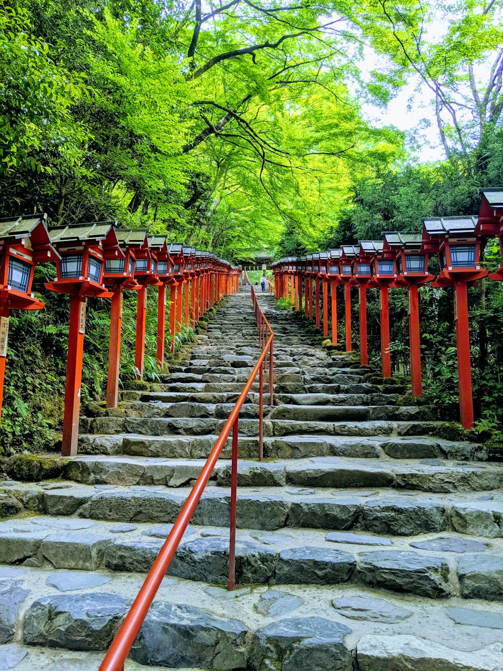 low-angle photography of concrete stair surrounded by green leafed trees