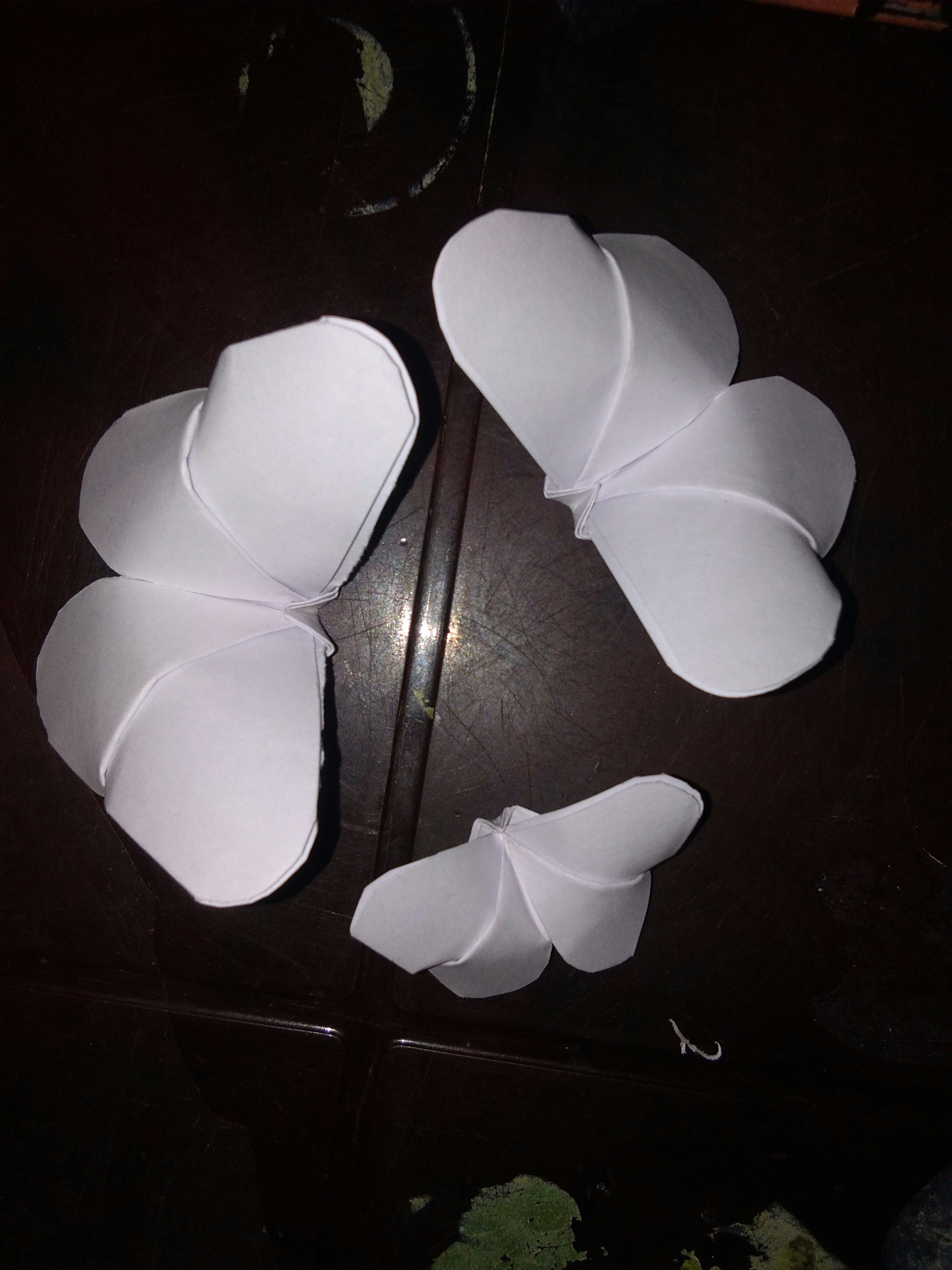 Origami Animal Set