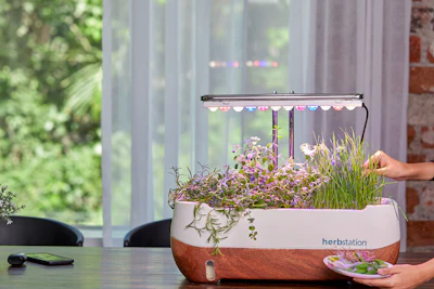 Grow Lights Indoor Plants India LED Panel