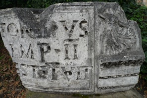 An ancient stone block featuring inscriptions in Latin and a carved relief. The stone shows signs of weathering, and it is surrounded by foliage and fallen leaves.