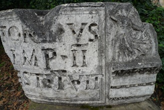An ancient stone block featuring inscriptions in Latin and a carved relief. The stone shows signs of weathering, and it is surrounded by foliage and fallen leaves.