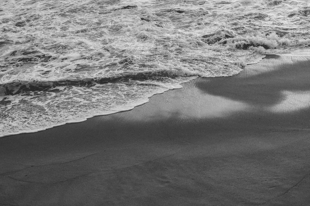 seashore in grayscale photo