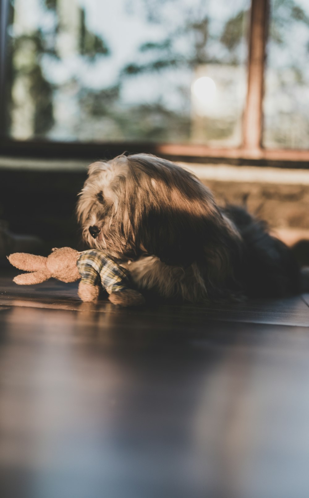 Cucciolo a pelo lungo marrone sdraiato sul pavimento che gioca con il giocattolo di peluche del coniglietto