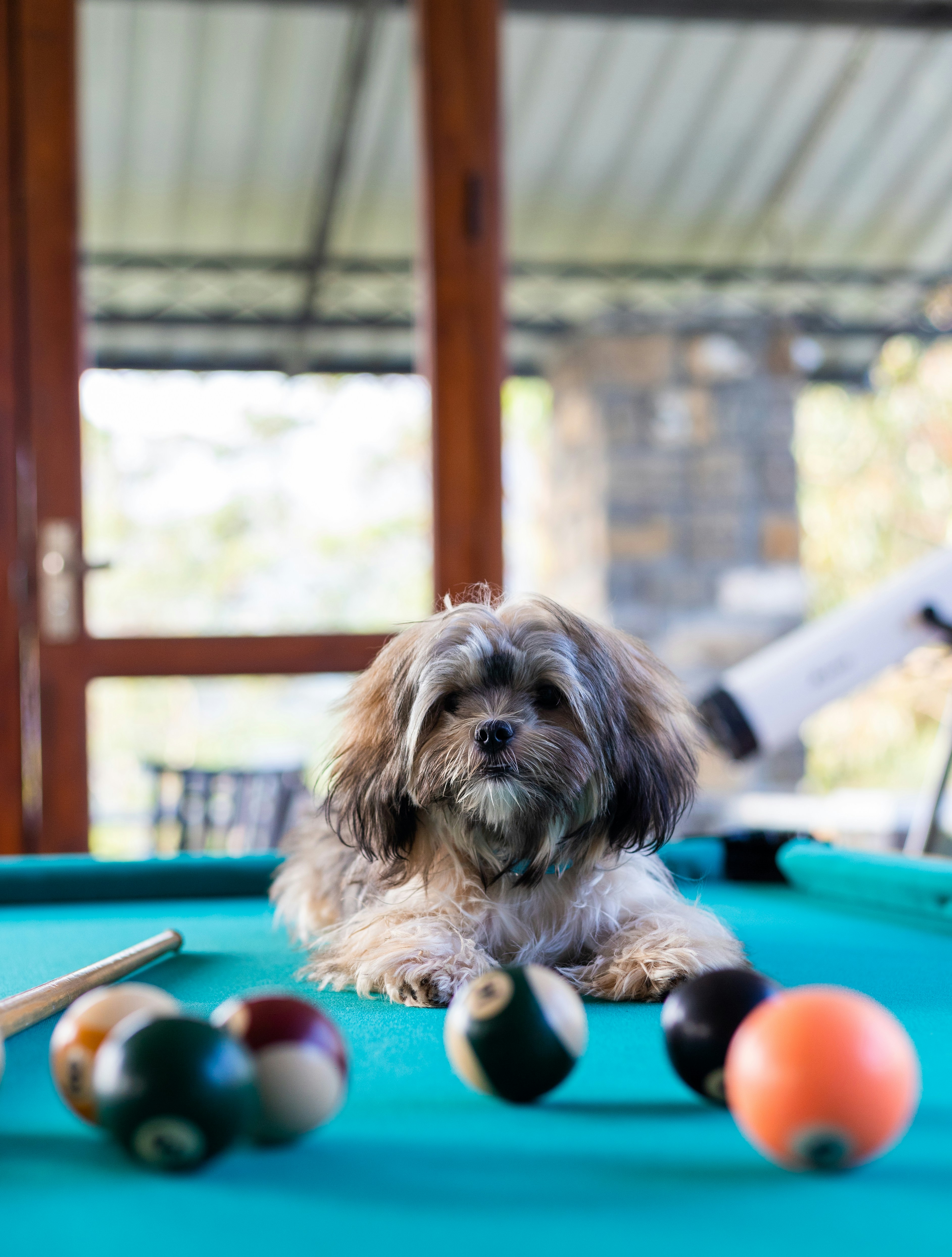 Pool Services