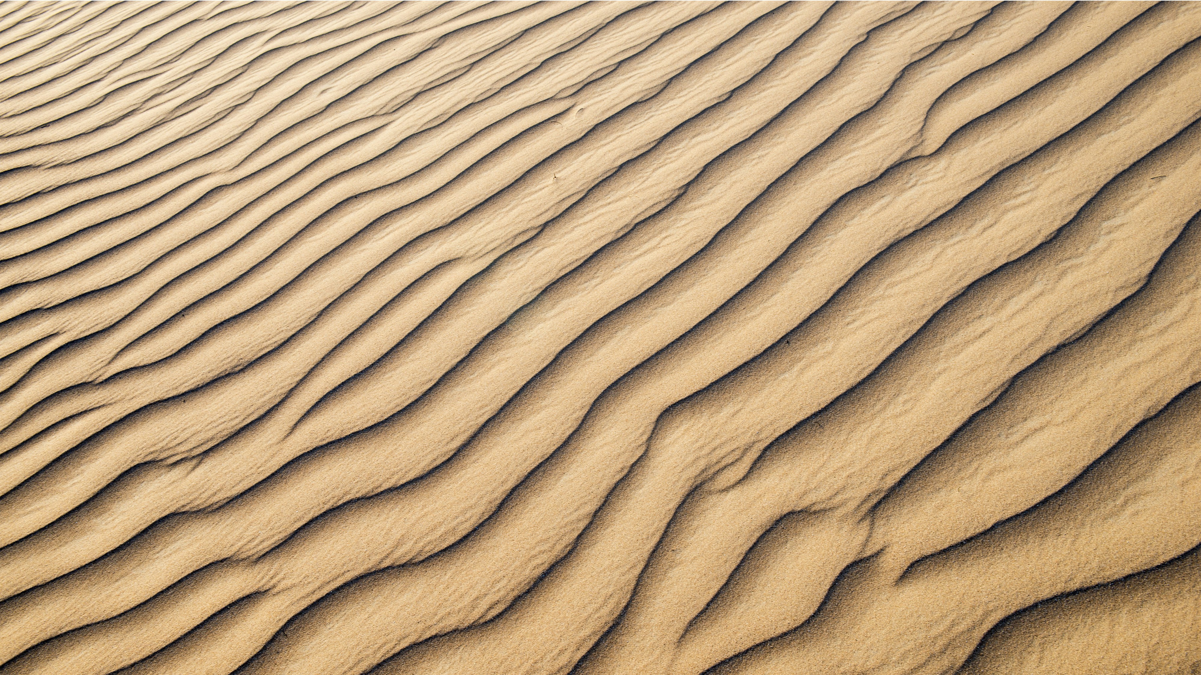 Photo by peek_a_boo_who