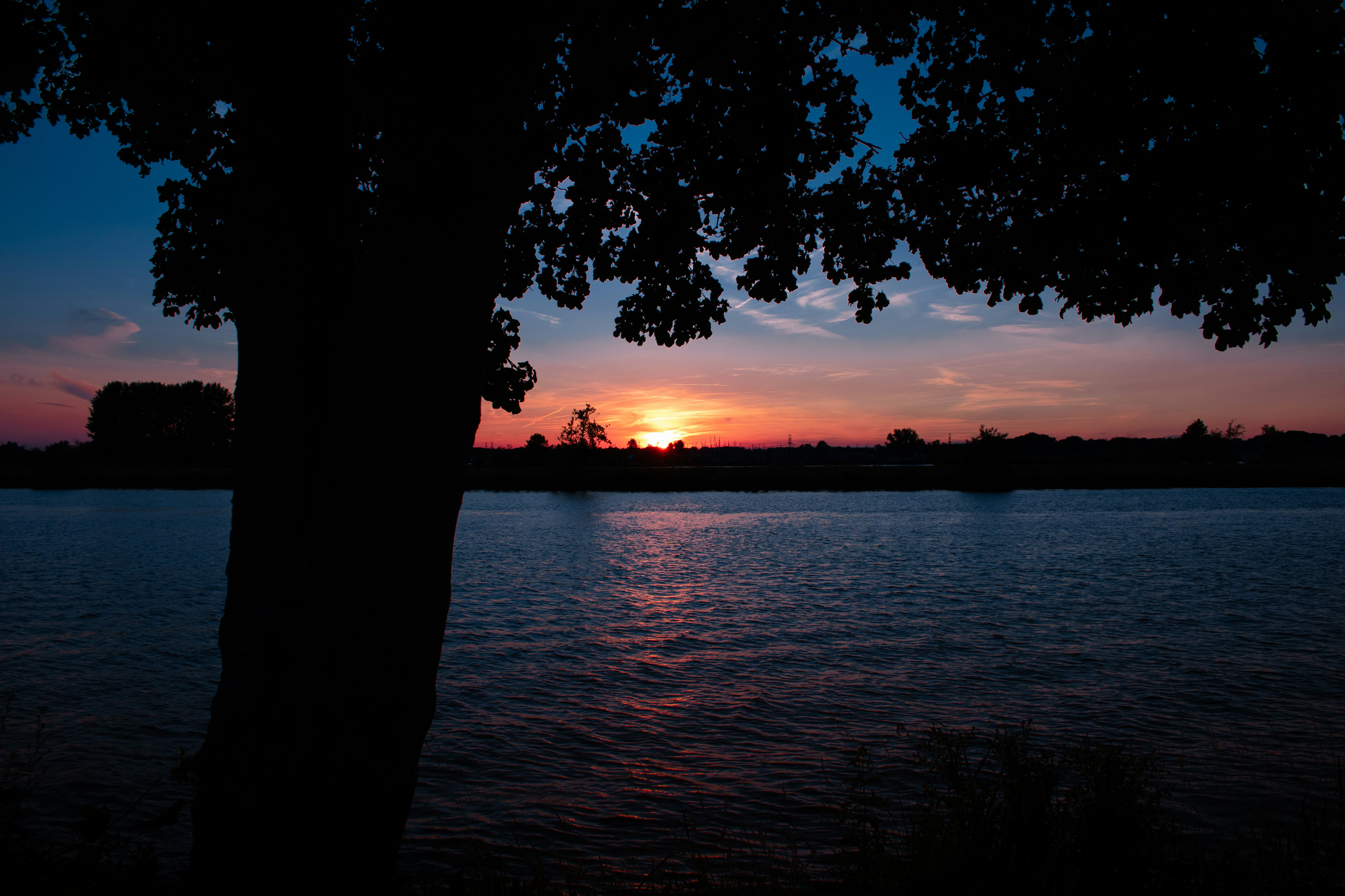 Photo by baruchvanhooff