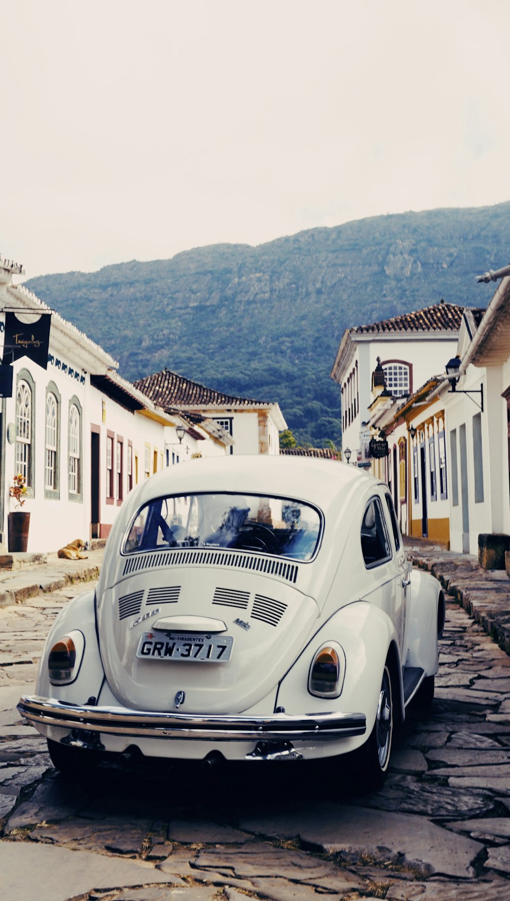 white Volkswagen Beetle