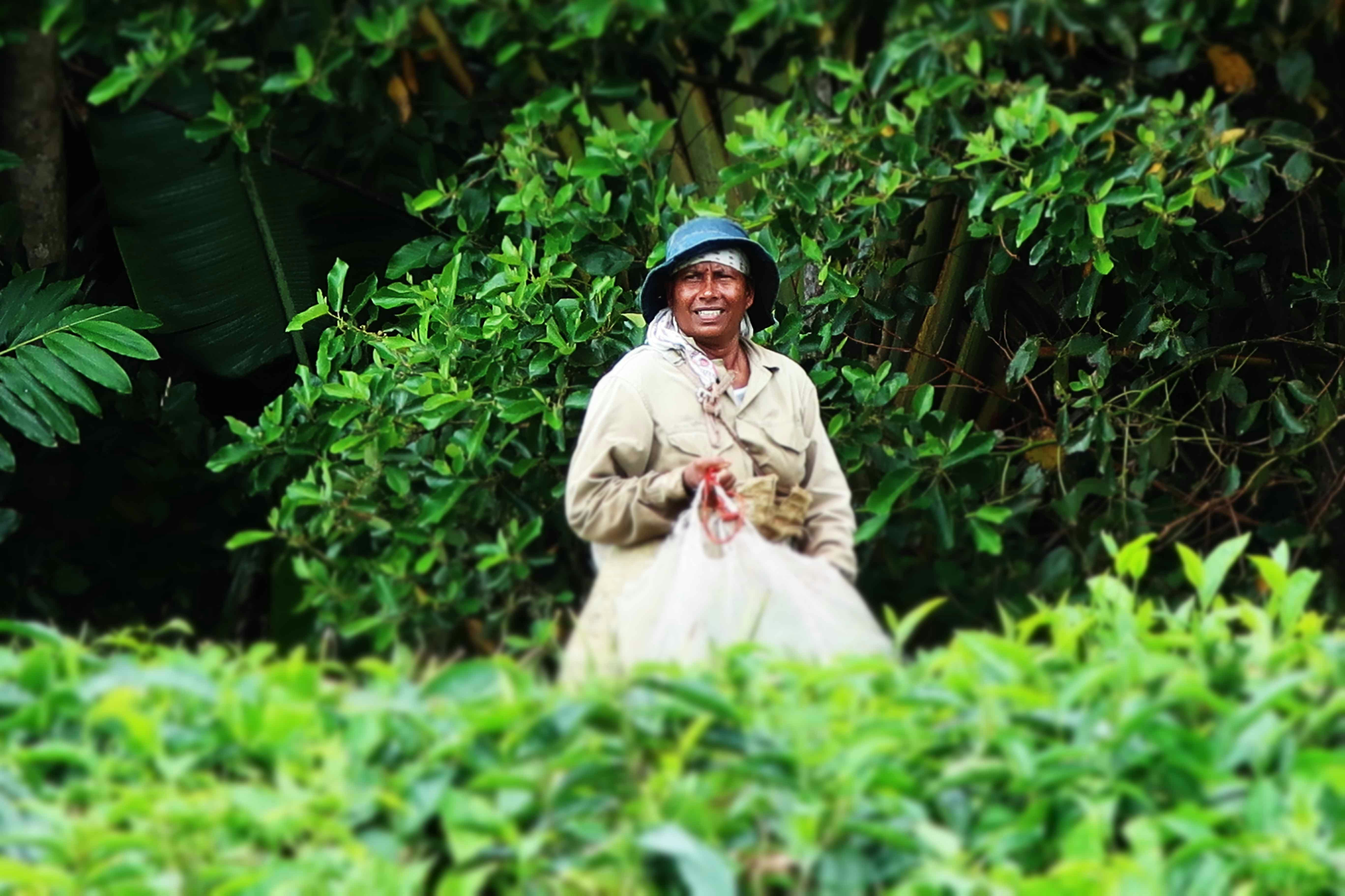 Photo by chesterfordhouse