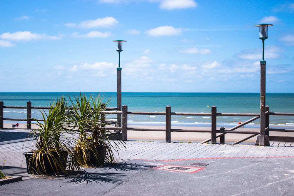 two potted plants on terrace fronting beach