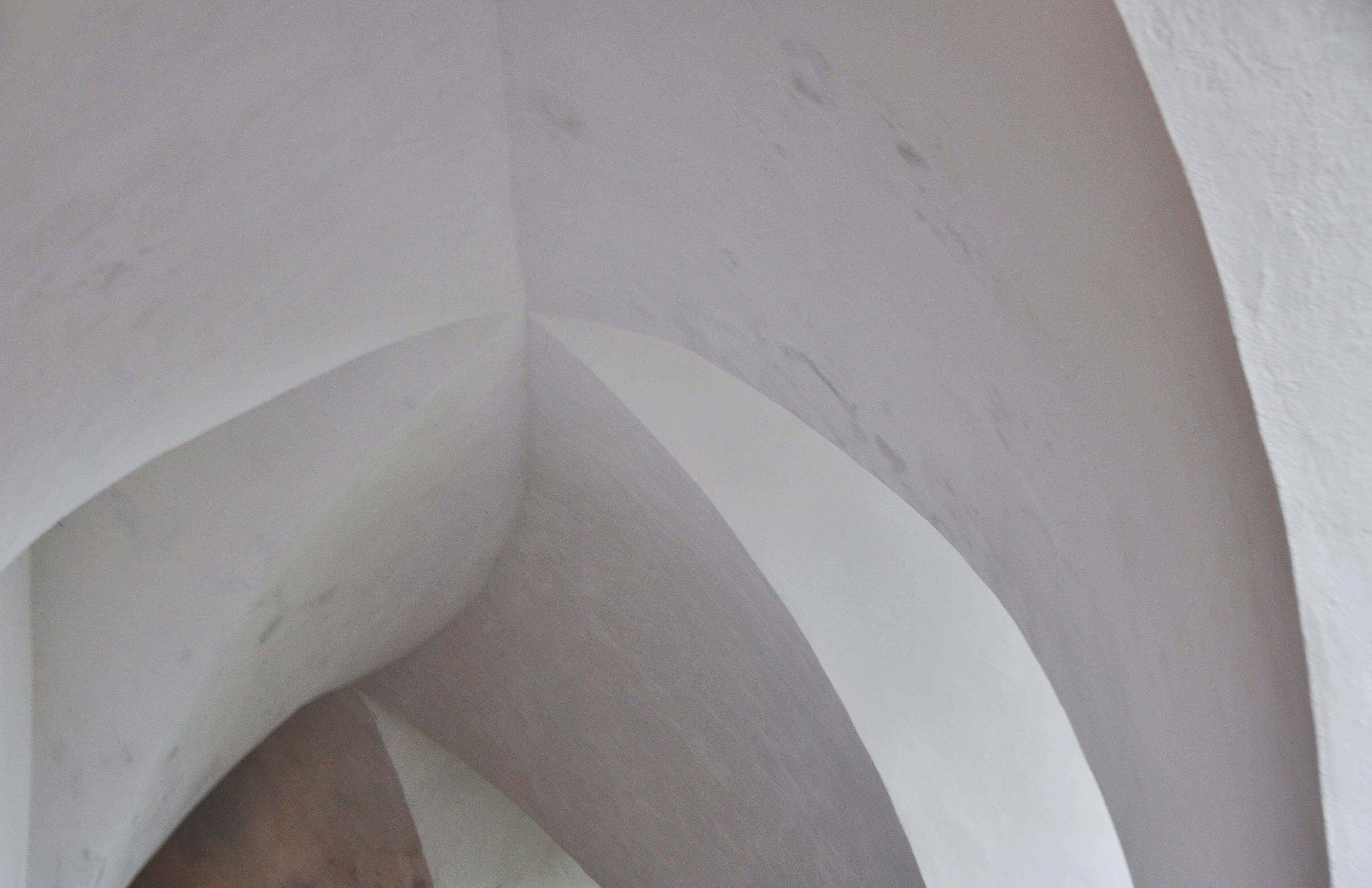 Photo by lieselot_dalle