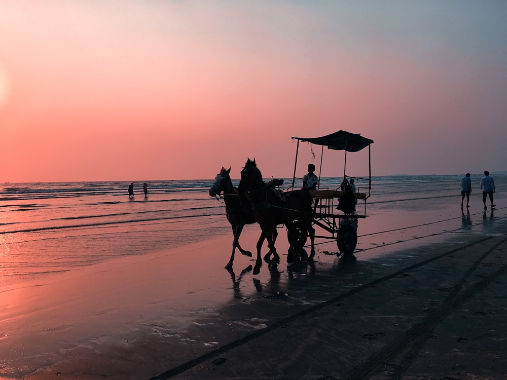 silhouette of man riding on carriage on seashore