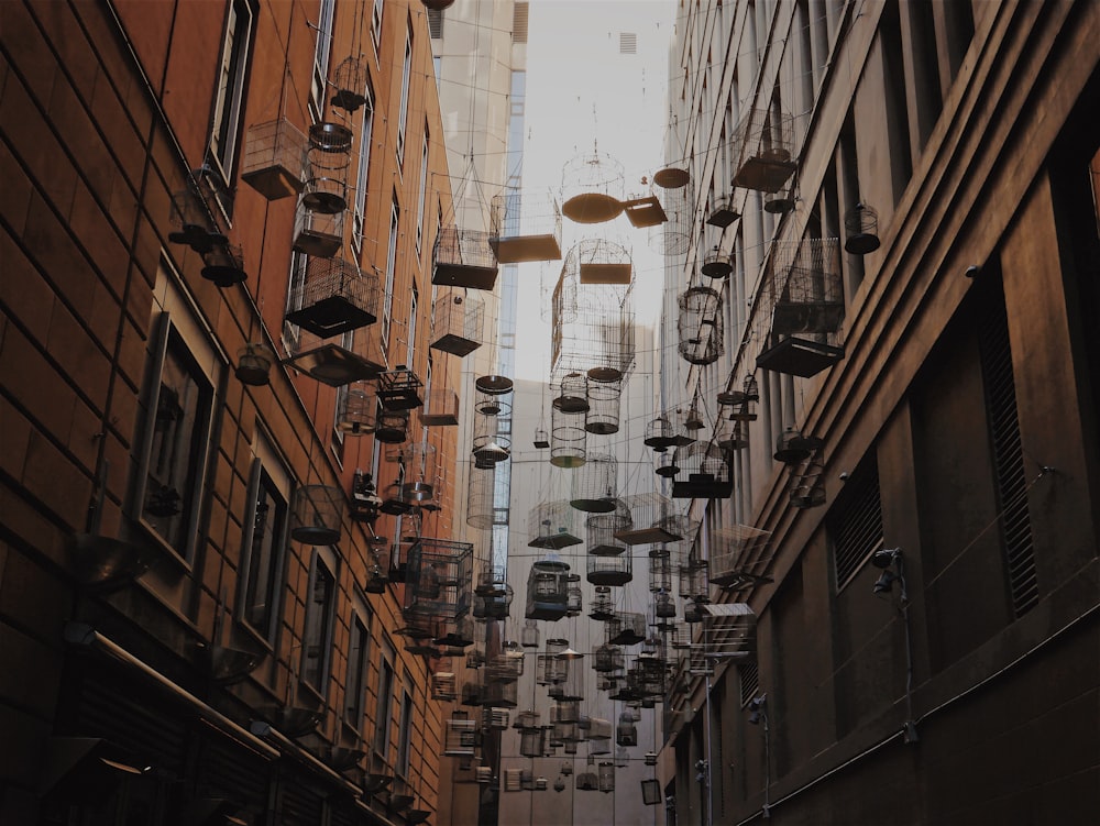 assorted birdcages hanging above the street