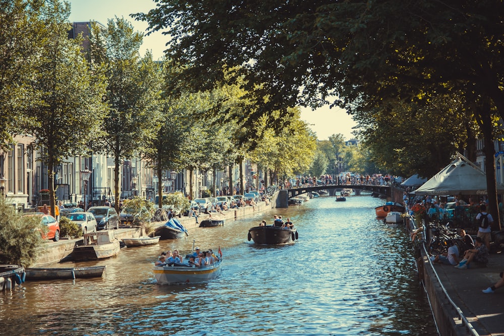 landscape of boats on a river