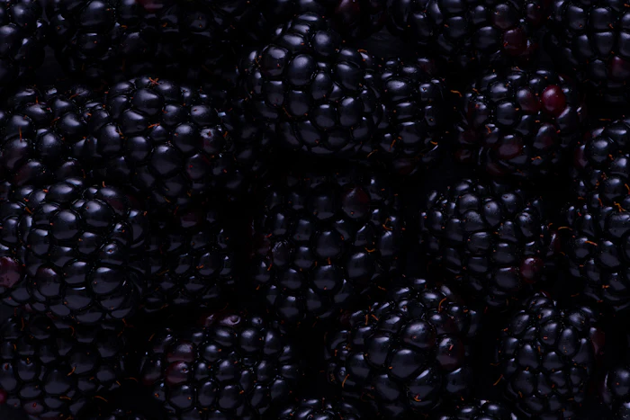 Blackberries