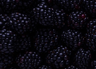 blackberry fruits