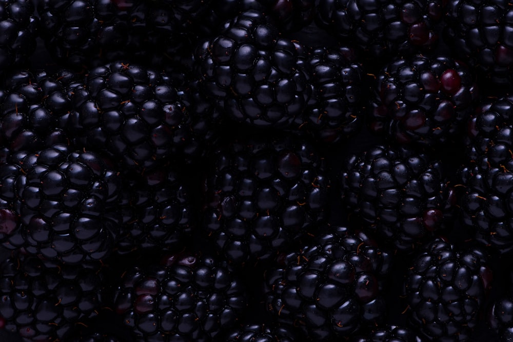 blackberry fruits