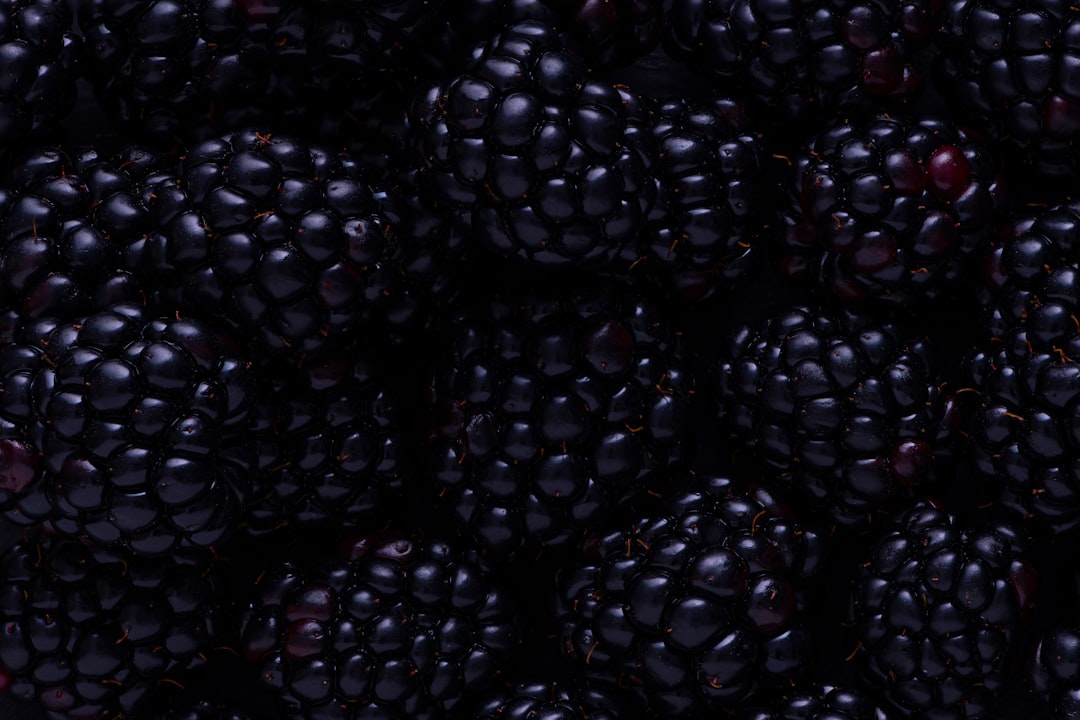blackberry fruits, Blackberries