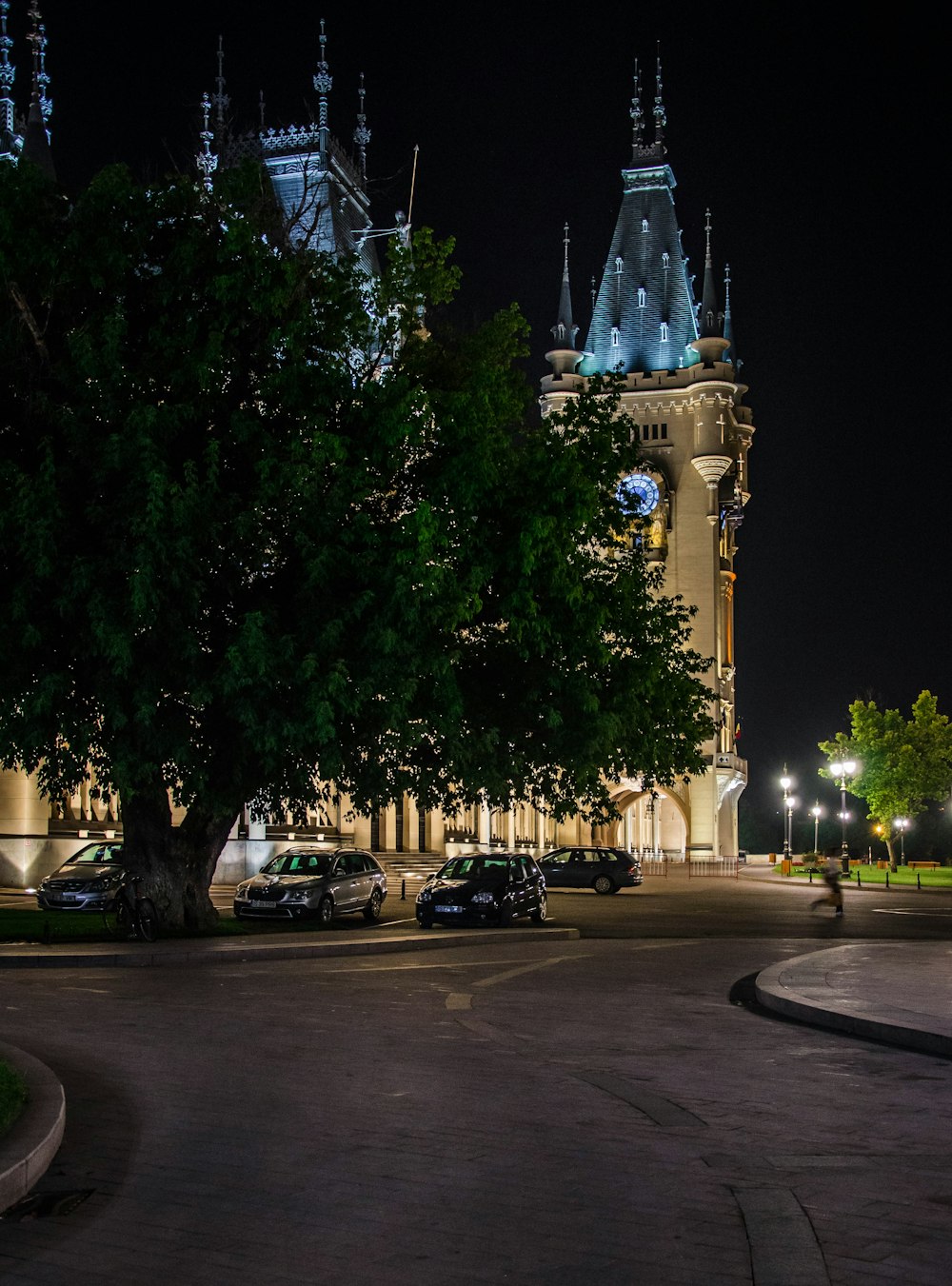 three cars parked under tree during nighttime