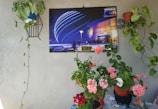 A vibrant photo showcasing a completed project.
