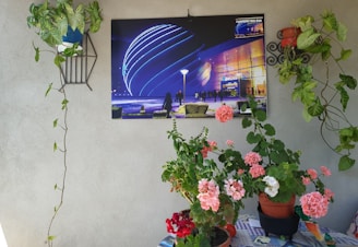 A vibrant photo showcasing a recent project by celio h uchiyama.