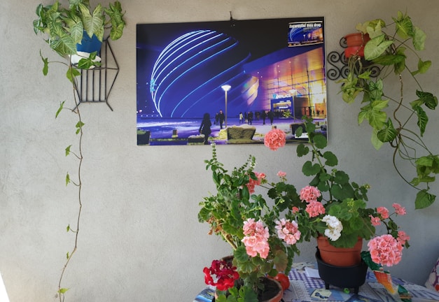 A vibrant photo showcasing a completed project.