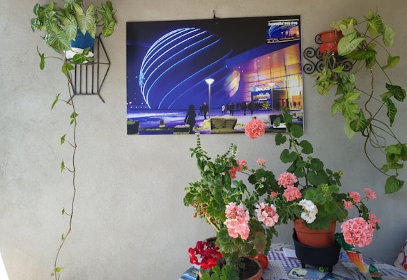 A vibrant photograph of a modern architectural building with neon blue lighting dominates the image. In front of this picture, several potted plants with green leaves and clusters of pink and red flowers are arranged on a table covered with a patterned cloth. There's a wall sconce holding a plant to the left, and the overall scene has a lively and fresh atmosphere.