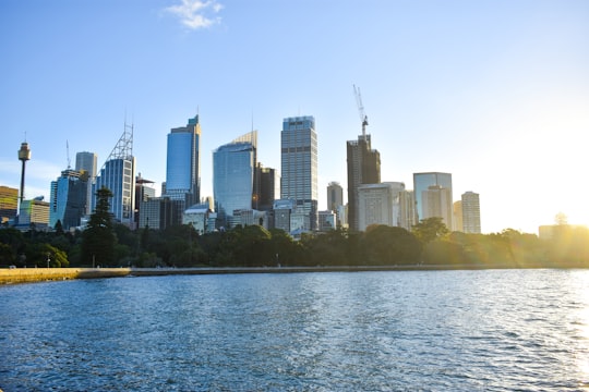 city skyline at sunrise in Royal Botanic Gardens Australia