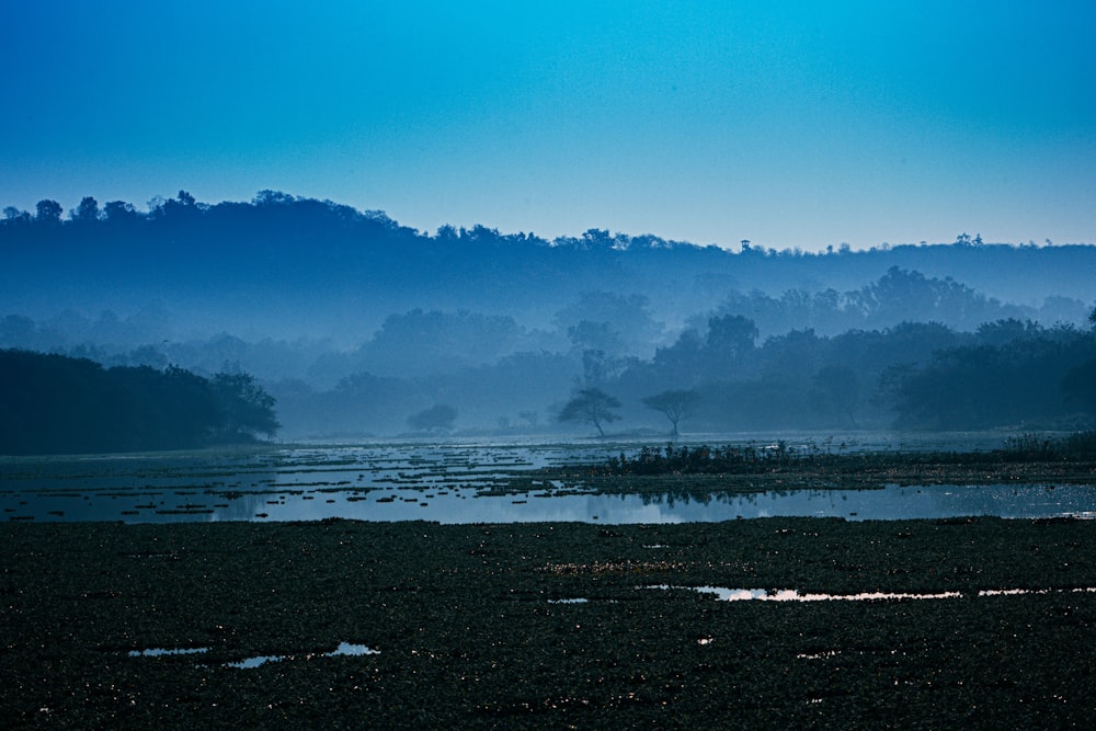 rocky beach at dusk