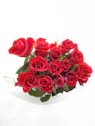 Close-up of vibrant red Ecuadorian roses arranged elegantly.