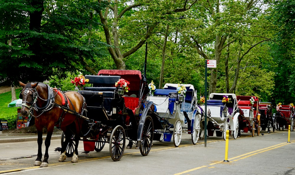 horse with carousel on road