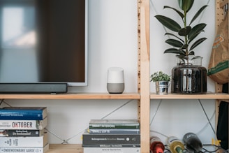A living room shelf holds a smart speaker, a potted plant in a glass container, and a smaller plant in a metal pot. There is a stack of books with titles visible, along with a television and soundbar. Wine bottles are placed horizontally on the lower shelf.