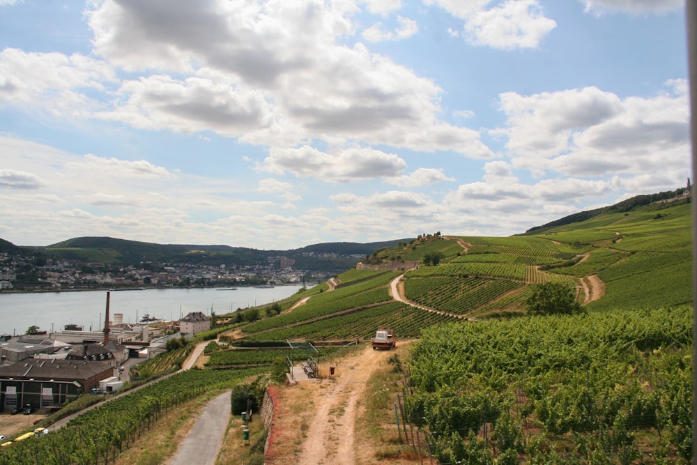 brauner Fußweg zwischen grünem Gras