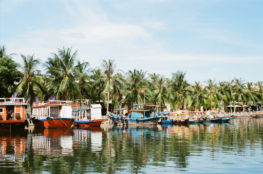 boats moored in beach with coconut trees