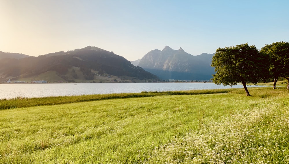 landscape photo of green-grass fields near body of water with view of mountains